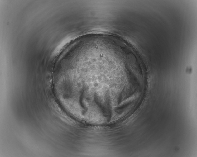 X0000111361355200907241212