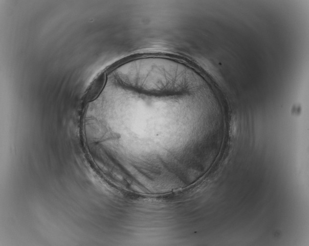 X0000111361356200907241212