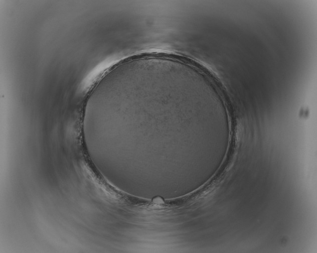 X0000111361359200907241212