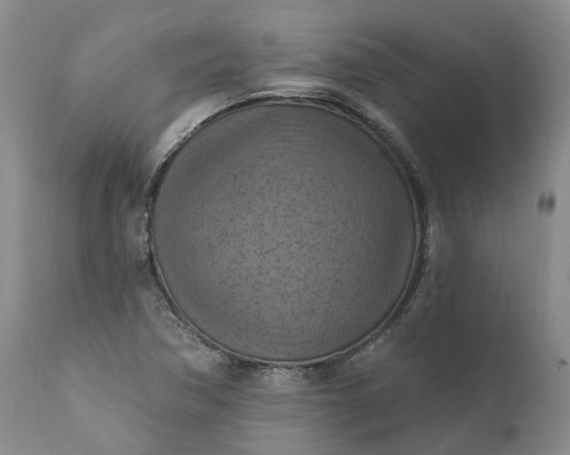 X0000111361362200907241212