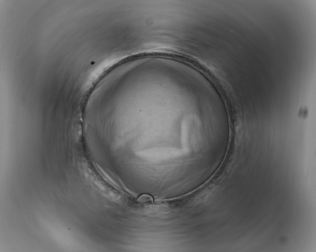 X0000111361363200907241212