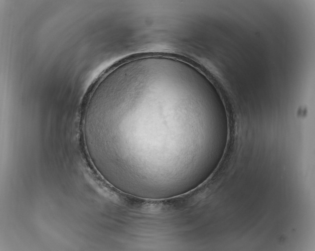 X0000111361364200907241212