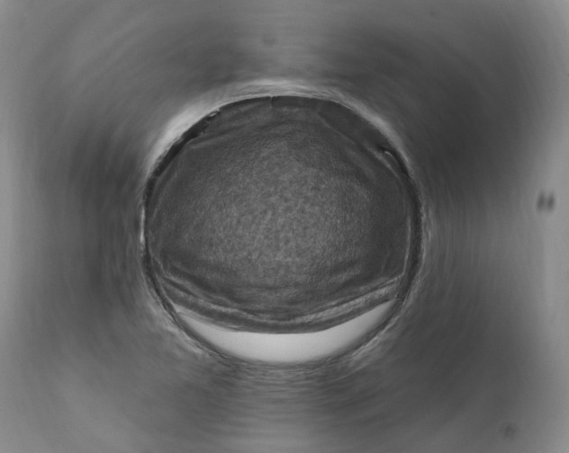 X0000111361365200907241212