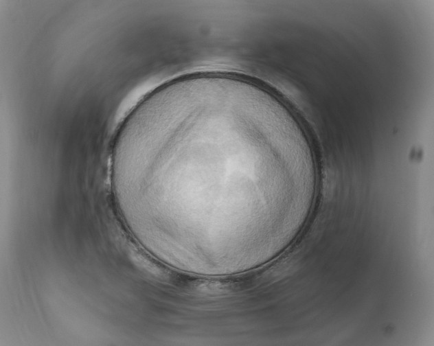 X0000111361366200907241212