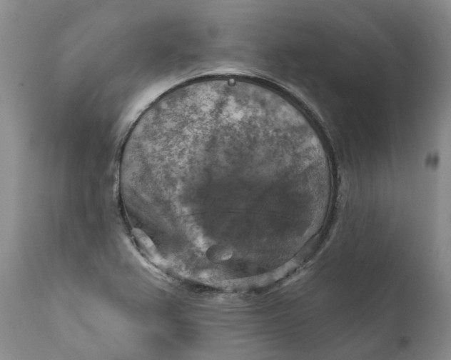 X0000111361367200907241212