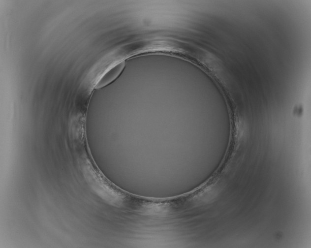 X0000111361369200907241212
