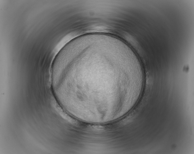 X0000111361370200907241212