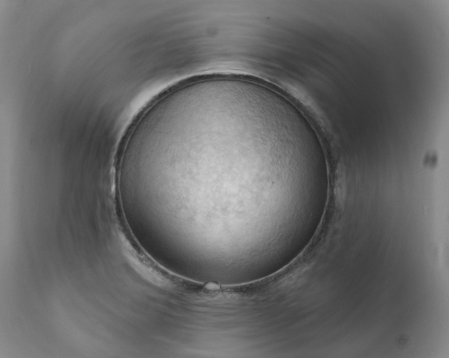X0000111361372200907241212