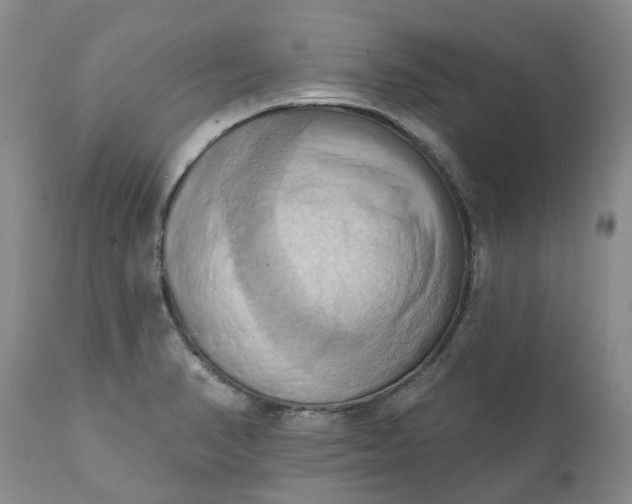 X0000111361374200907241212