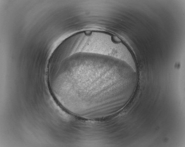 X0000111361379200907241212
