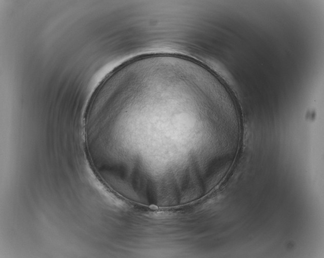X0000111361380200907241212