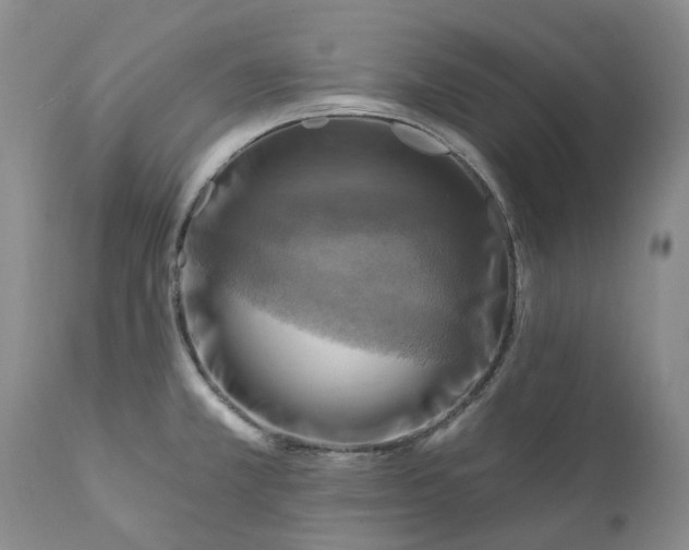 X0000111361381200907241212