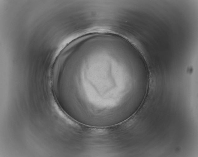 X0000111361382200907241212