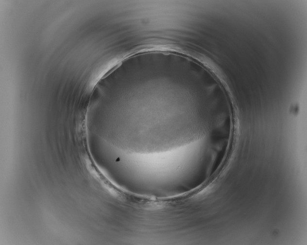 X0000111361385200907241212