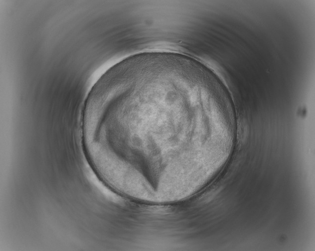 X0000111361387200907241212