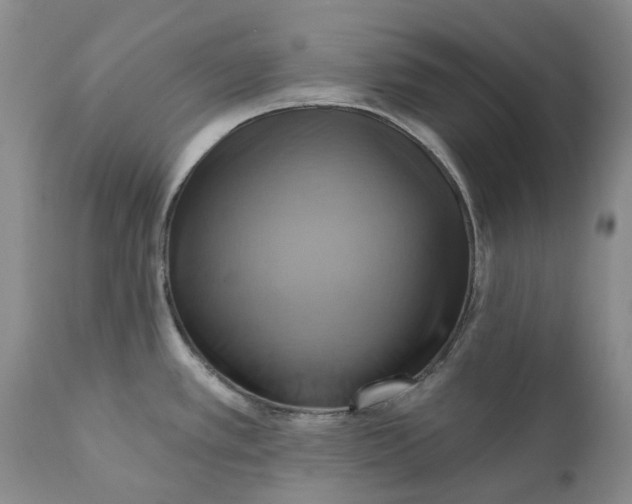 X0000111361389200907241212