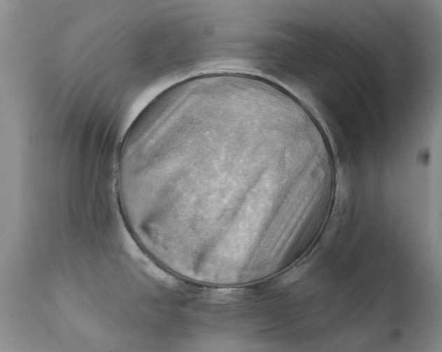 X0000111361390200907241212