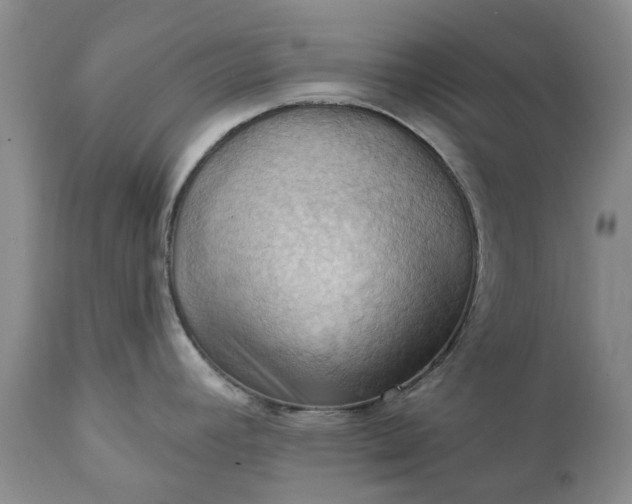 X0000111361392200907241212
