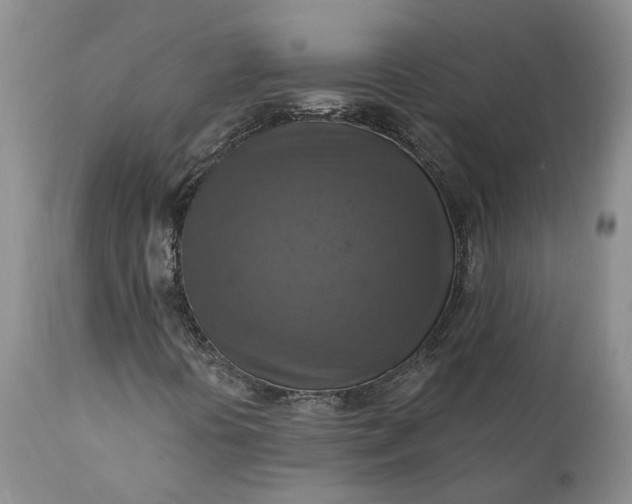 X0000111361394200907241211