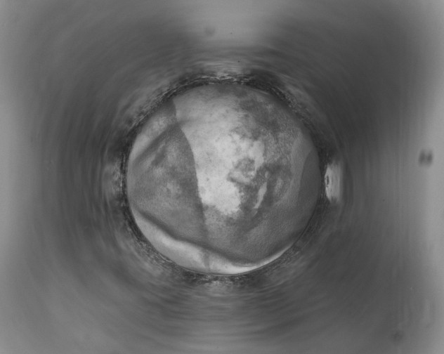 X0000111361395200907241211