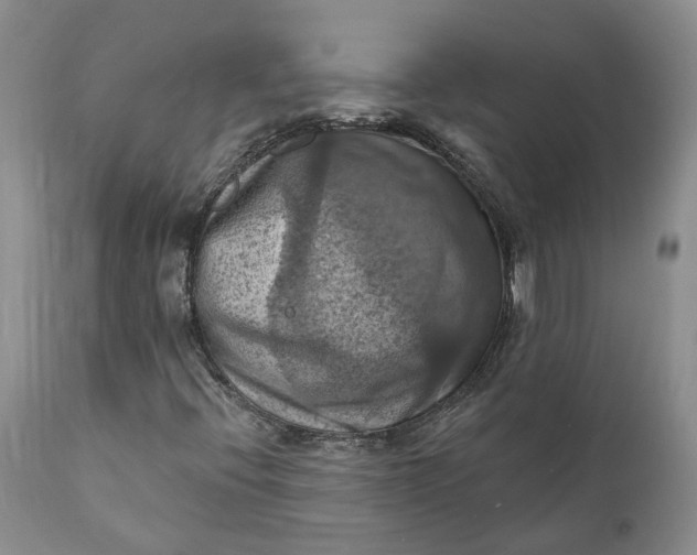 X0000111361396200907241211