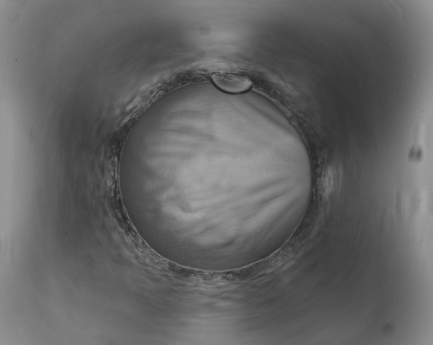 X0000111361397200907241211