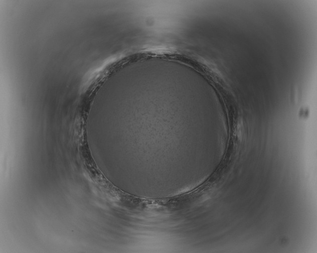 X0000111361398200907241211