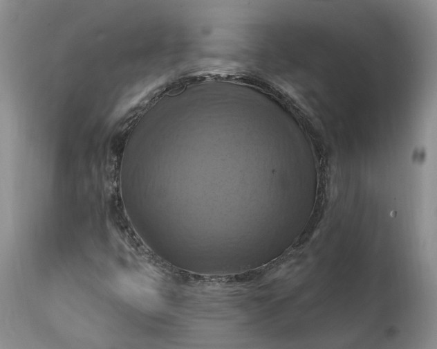 X0000111361399200907241211