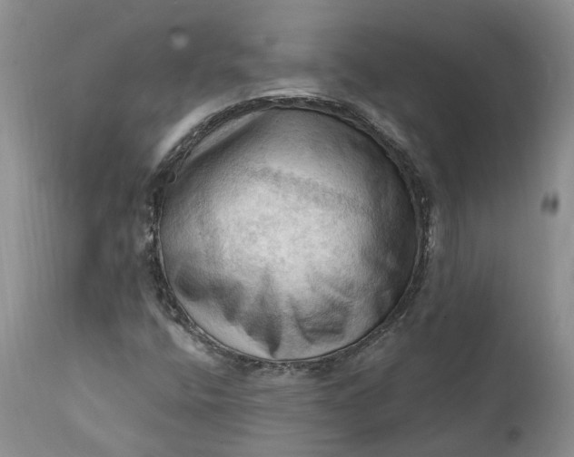 X0000111361400200907241211