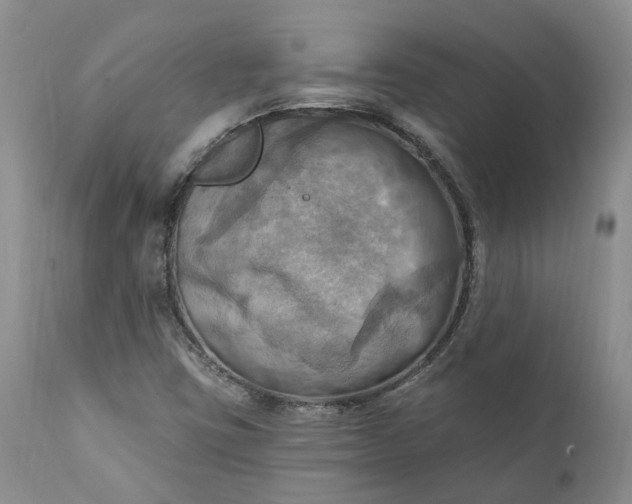 X0000111361403200907241211
