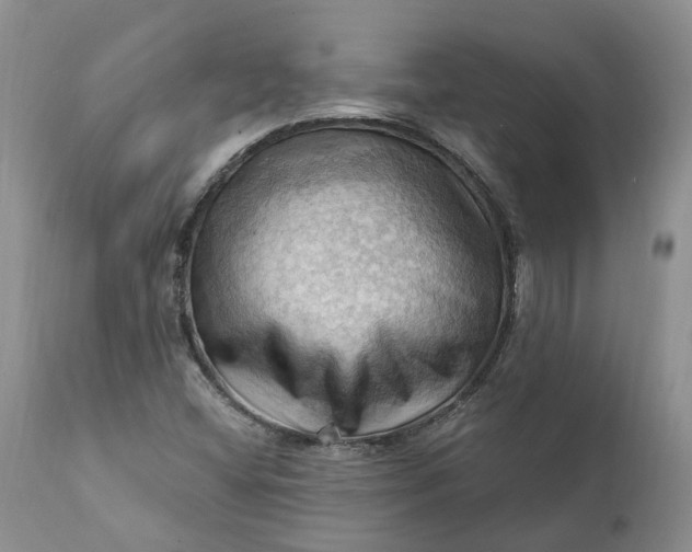 X0000111361404200907241211