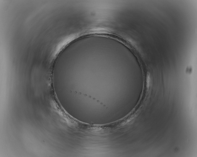 X0000111361405200907241211