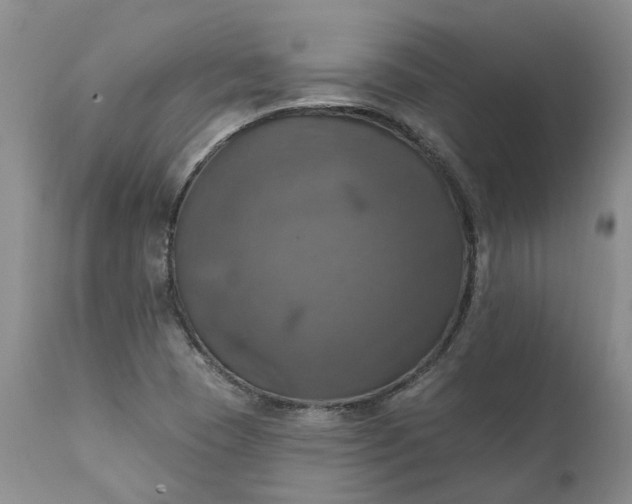 X0000111361409200907241212