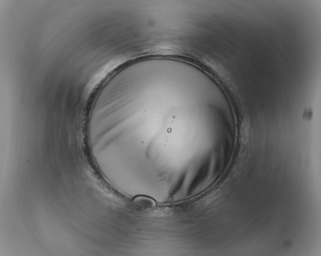 X0000111361410200907241212