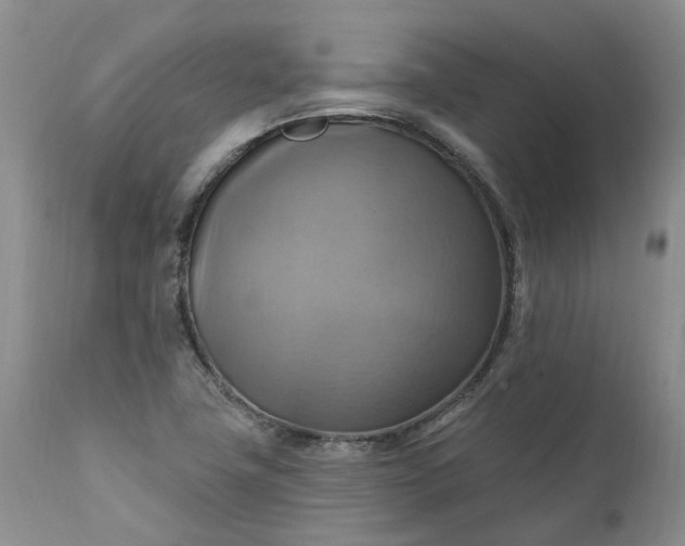 X0000111361411200907241212