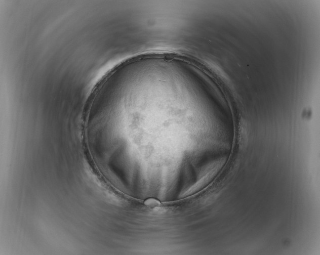 X0000111361412200907241212