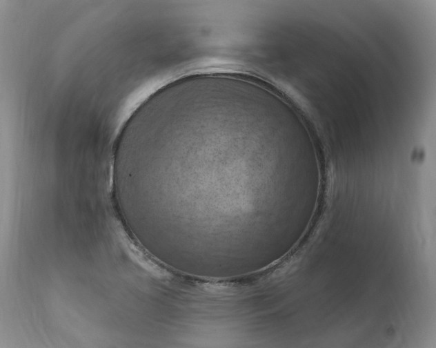 X0000111361413200907241212