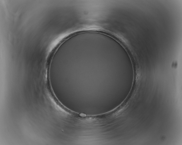 X0000111361414200907241212