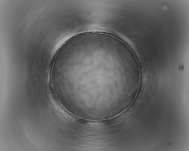 X0000111361415200907241212