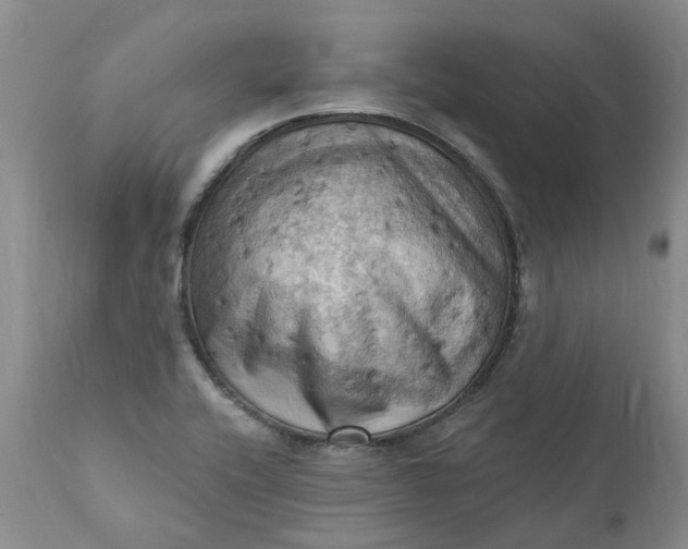 X0000111361416200907241212