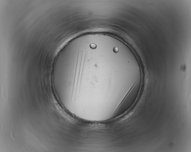X0000111361417200907241212