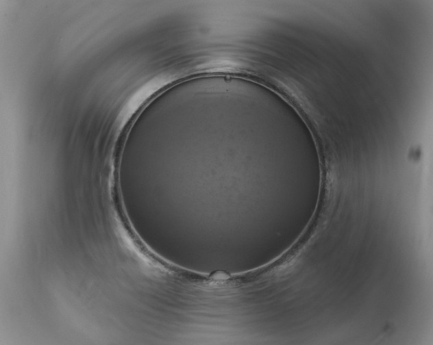 X0000111361418200907241212