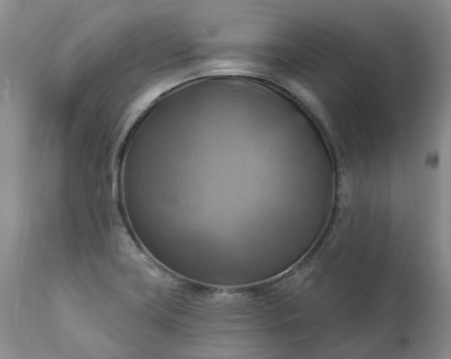 X0000111361419200907241212