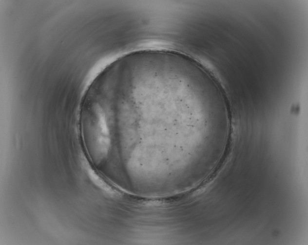 X0000111361421200907241212