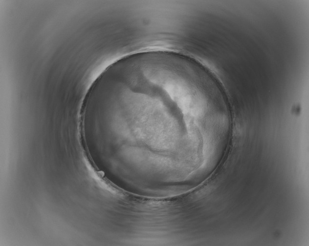 X0000111361423200907241212