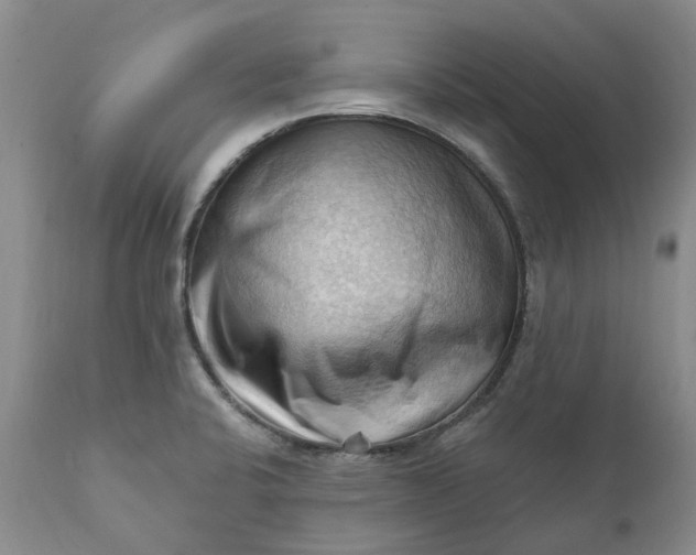 X0000111361424200907241212