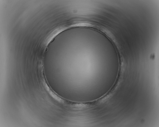 X0000111361425200907241212