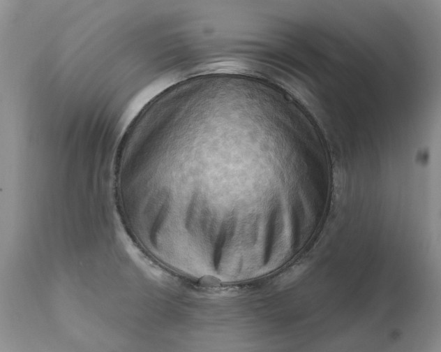 X0000111361426200907241212