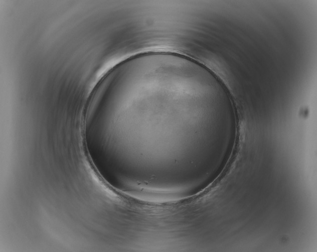 X0000111361428200907241212