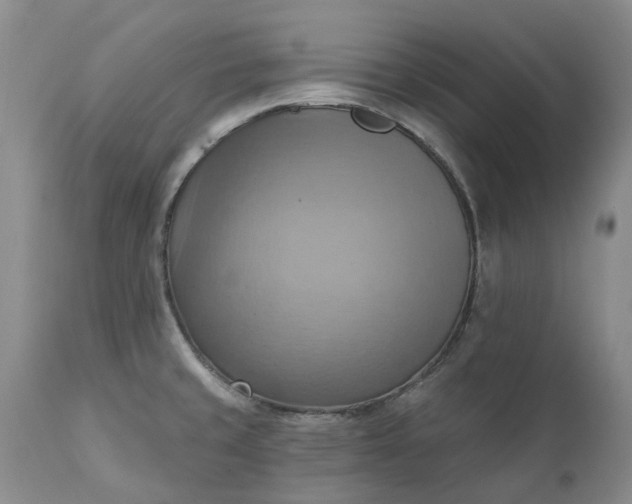 X0000111361429200907241212